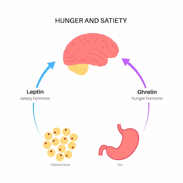 Hungerhormon Ghrelin: 5 Wichtige Aspekte, die Sie kennen sollten!